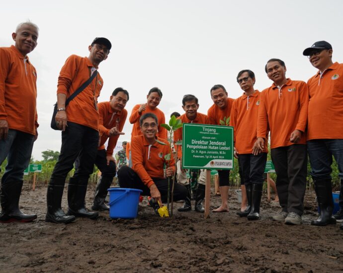 Penanaman Mangrove Serentak: Langkah KLHK di Jawa Timur