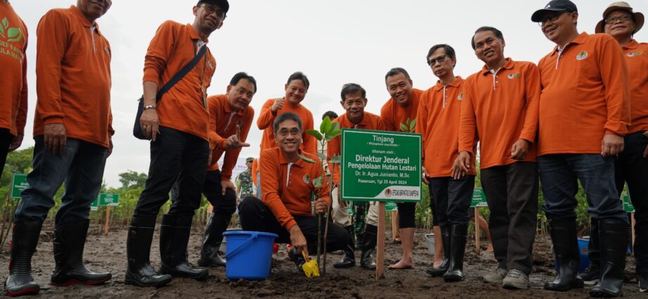 Penanaman Mangrove Serentak: Langkah KLHK di Jawa Timur