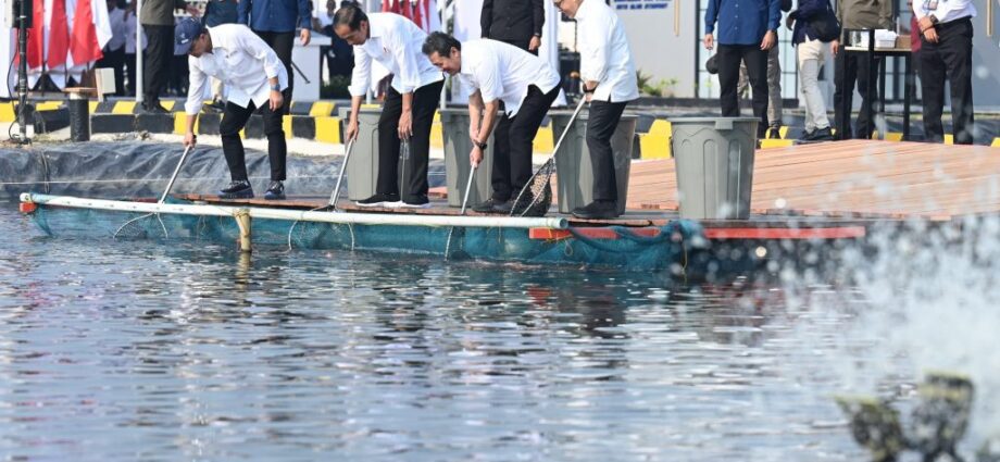 Presiden Resmikan Modeling Tambak Ikan Nila untuk Memanfaatkan Permintaan Global yang Tinggi