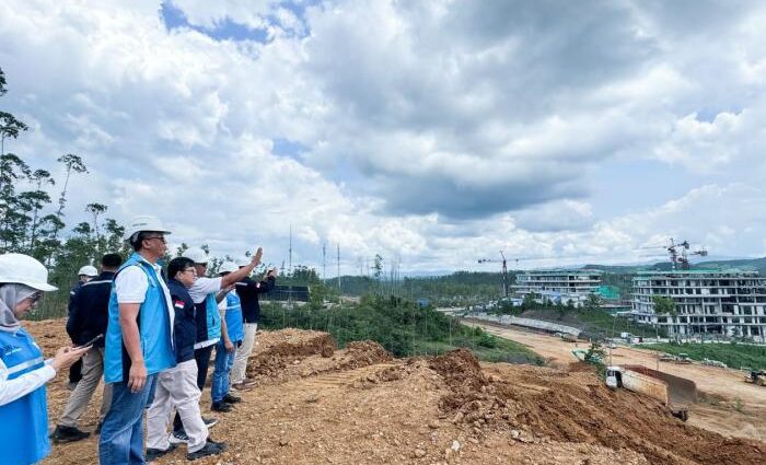 Memastikan Kelancaran Progres Penyediaan Listrik di IKN