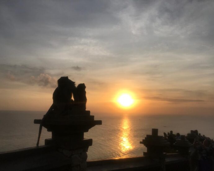 Satwa Monyet Dan Pura Uluwatu Bali Memukau Pesona Keindahan Sunset