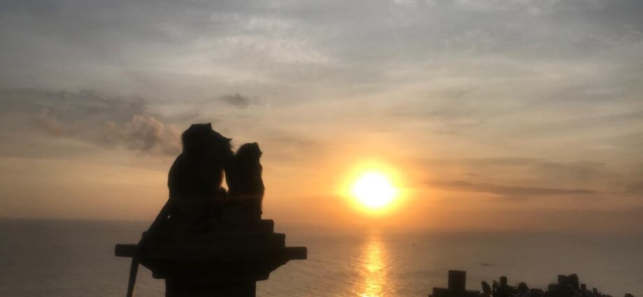 Satwa Monyet Dan Pura Uluwatu Bali Memukau Pesona Keindahan Sunset