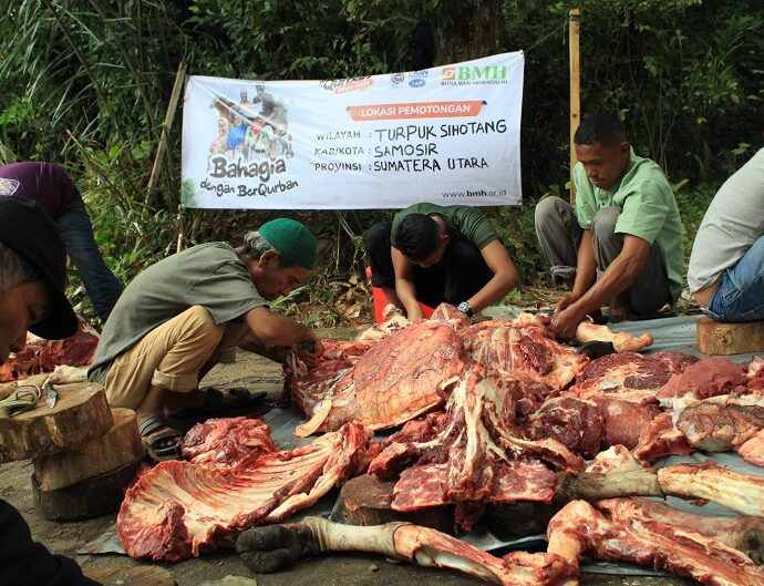 Qurban BMH Sumut Berikan Kebahagiaan di Samosir