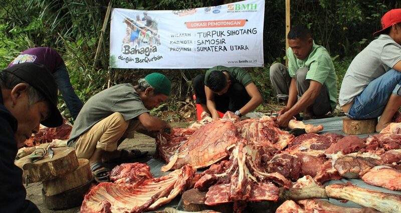 Qurban BMH Sumut Berikan Kebahagiaan di Samosir