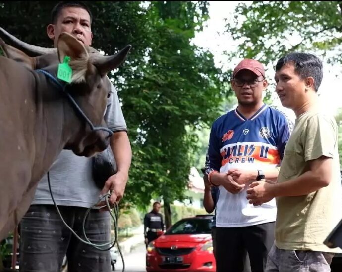 Jelang Idul Adha, 8 Tips Memilih Hewan Kurban