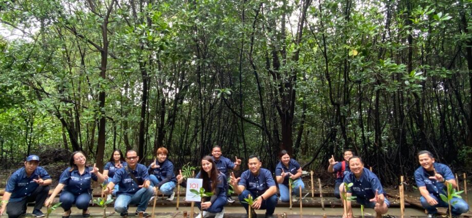 1O1 URBAN Jakarta Kelapa Gading Aksi Penanaman Bibit Mangrove di Anniversary ke-11