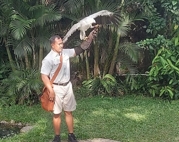 Bali Birds Park: Destinasi Wisata Edukasi yang Menarik untuk Keluarga di Pulau Dewata