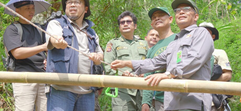 Bio Farma melalui program Tanggung Jawab Sosial Lingkungan (TJSL) bekerja sama dengan Balai Besar Konservasi Sumber Daya Alam (BBKSDA) Jawa Barat dan The Aspinall Foundation Indonesia Program (TAF-IP), melakukan pelepasliaran Owa Jawa (Hylobates moloch) dan Surili (Presbytis comata) di Kawasan Cagar Alam Gunung Tilu