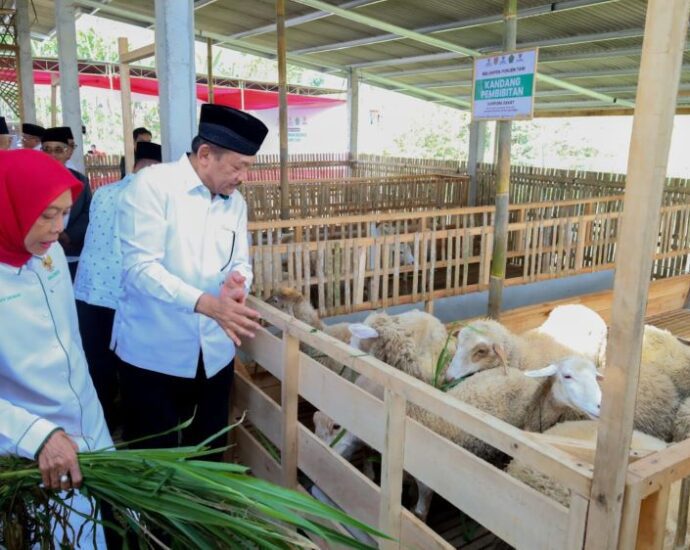 Balai ternak Wonosobo