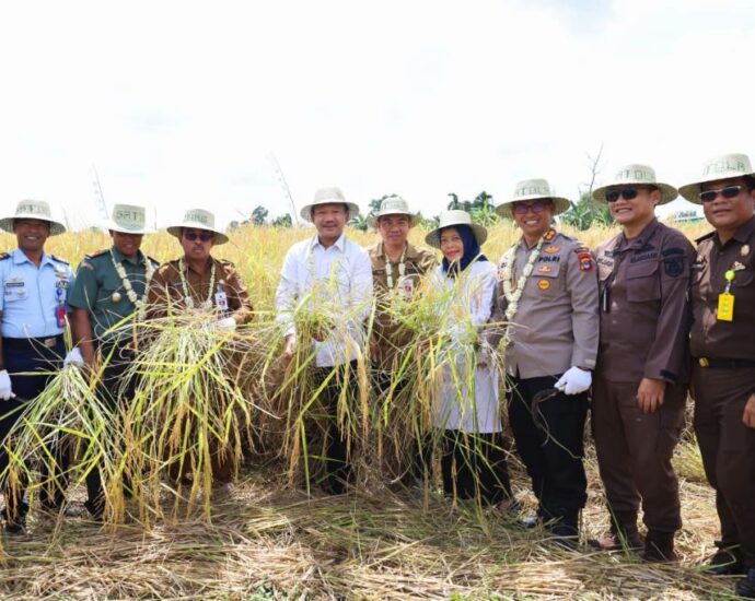 Baznas Panen raya