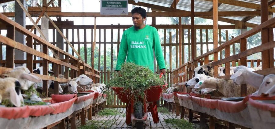 kemandirian mustahik