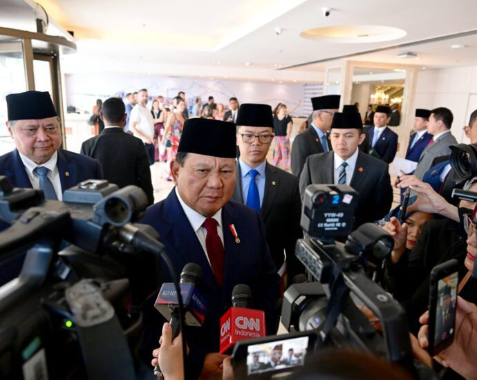 Presiden Prabowo Dorong Transisi Energi Berkelanjutan