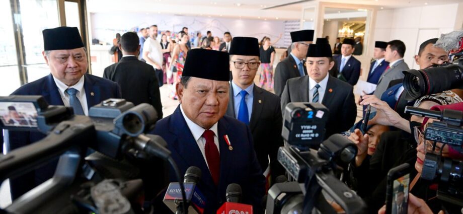 Presiden Prabowo Dorong Transisi Energi Berkelanjutan