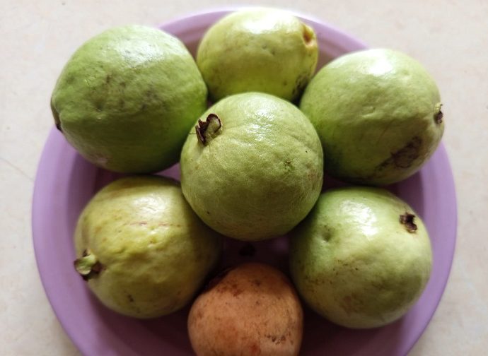 Manfaat Jambu Biji Merah untuk Kesehatan, Pilihan Tepat untuk Hidup Lebih Sehat