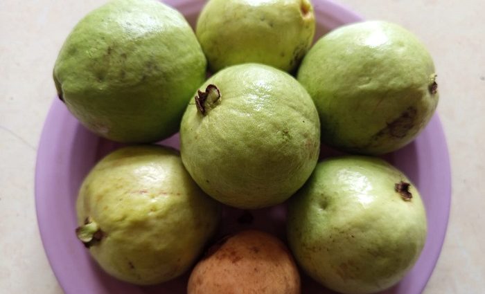 Manfaat Jambu Biji Merah untuk Kesehatan, Pilihan Tepat untuk Hidup Lebih Sehat