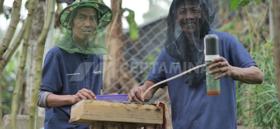 Sinergi Pertamina dan KUPS, Wujudkan Ekosistem Hutan yang Produktif