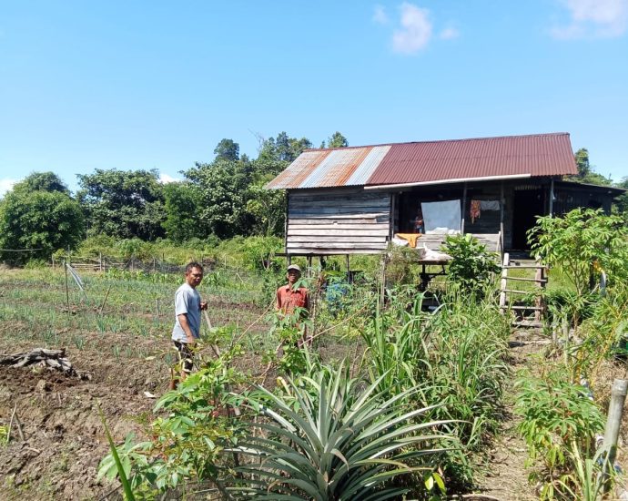 Tragedi Tanah Warisan: Keluarga Santung Terancam Kehilangan Hak Atas Lahan