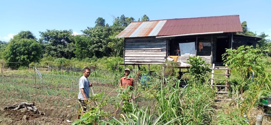 Tragedi Tanah Warisan: Keluarga Santung Terancam Kehilangan Hak Atas Lahan