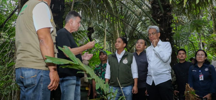 Menteri Kehutanan: Perdagangan Karbon Sektor Kehutanan Segera Diresmikan