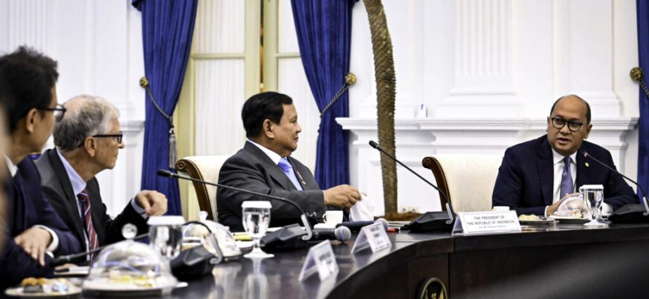 Prabowo dan Bill Gates Sepakat Perkuat Filantropi Lewat Danantara Trust Fund