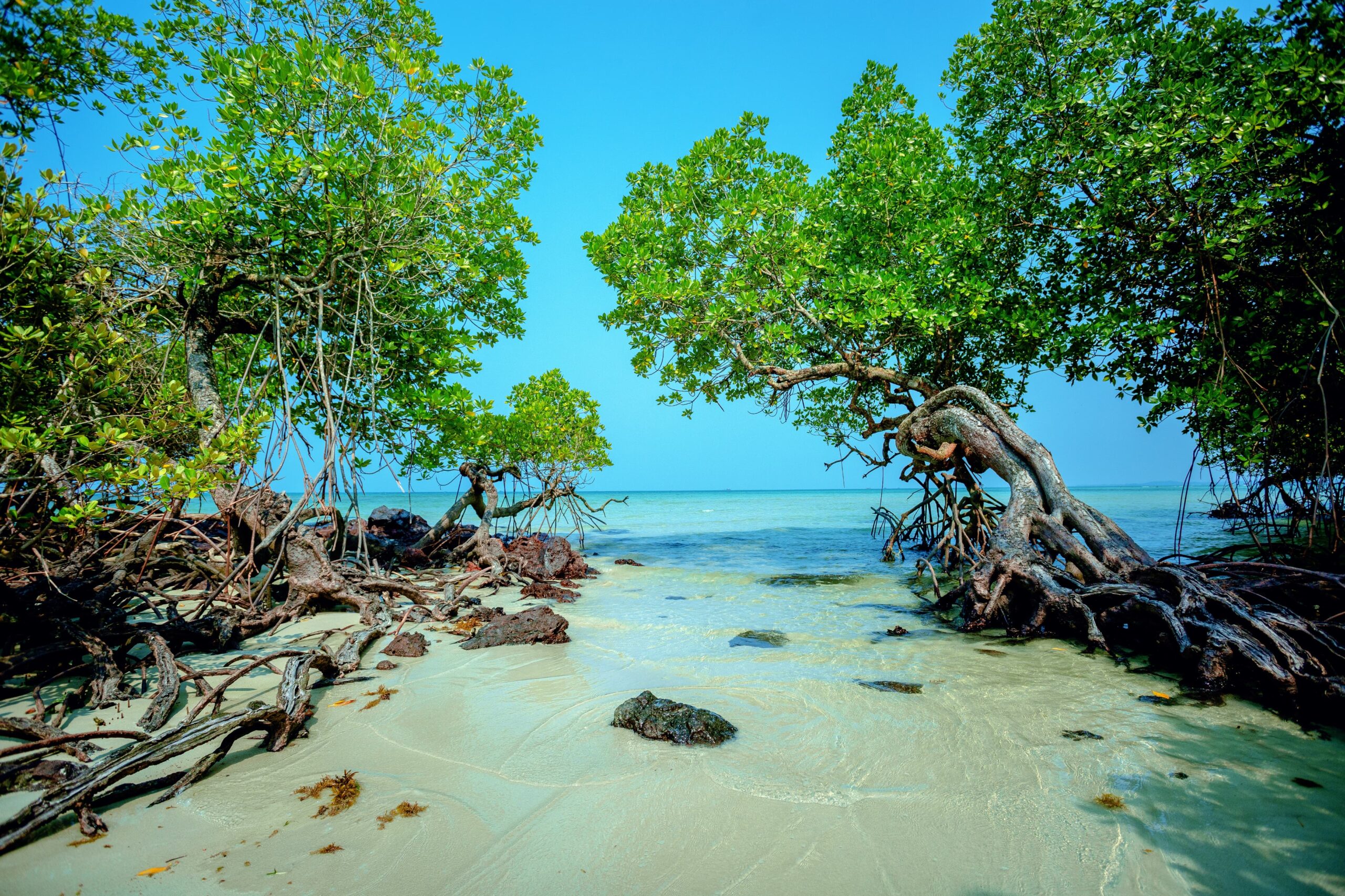 Wajib Masuk Bucket List! Resort Unik di Bintan Ini Jadi Incaran Baru untuk Liburan Keluarga